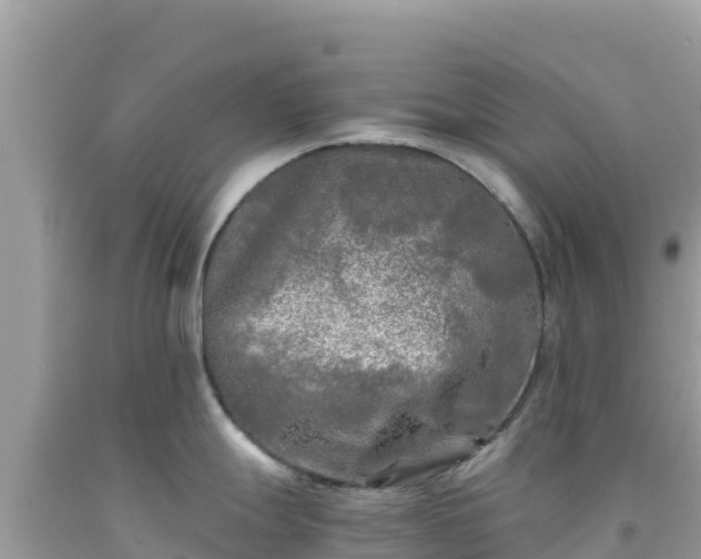 X0000092021247200709131549