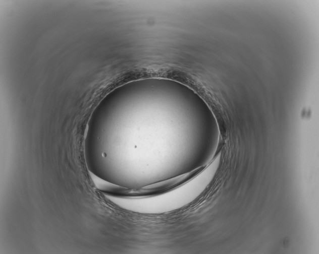 X0000092021249200709131548