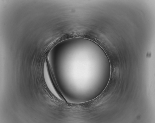 X0000092021250200709131548