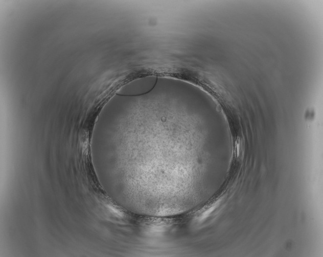 X0000092021251200709131548