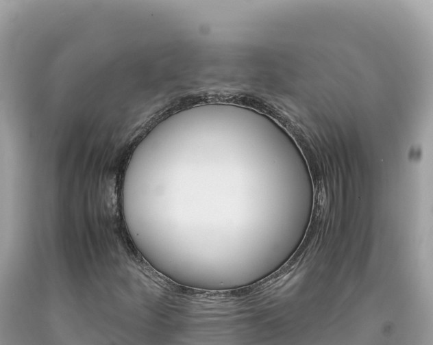 X0000092021252200709131548