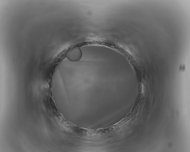 X0000092021254200709131548