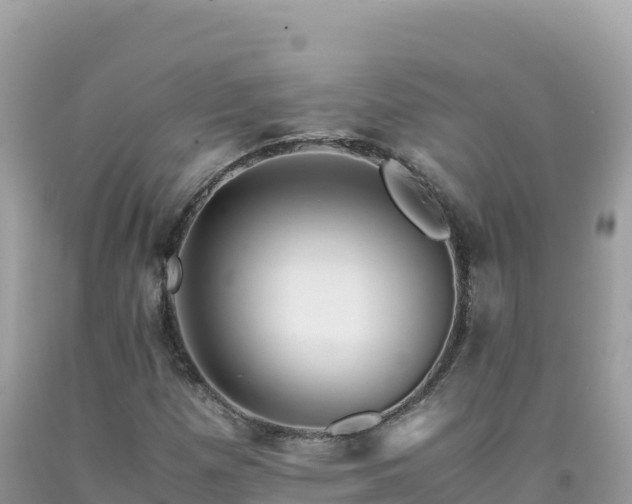 X0000092021257200709131548