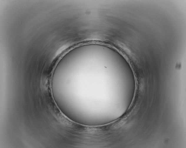 X0000092021258200709131548