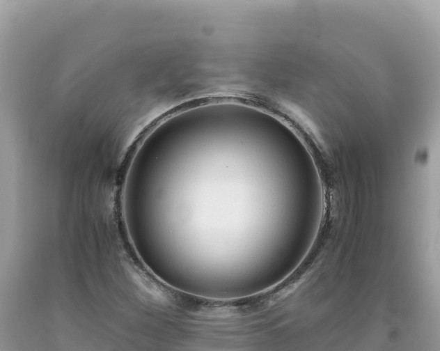 X0000092021260200709131548