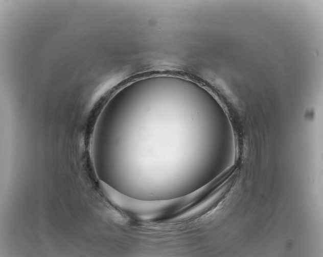X0000092021261200709131548