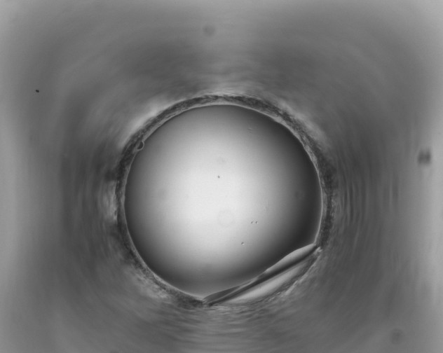 X0000092021262200709131548