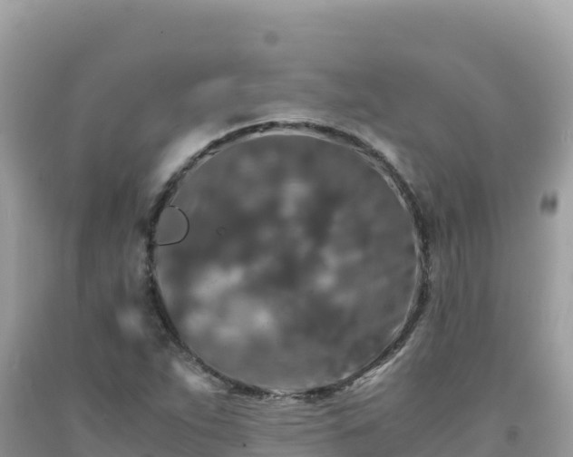 X0000092021263200709131548