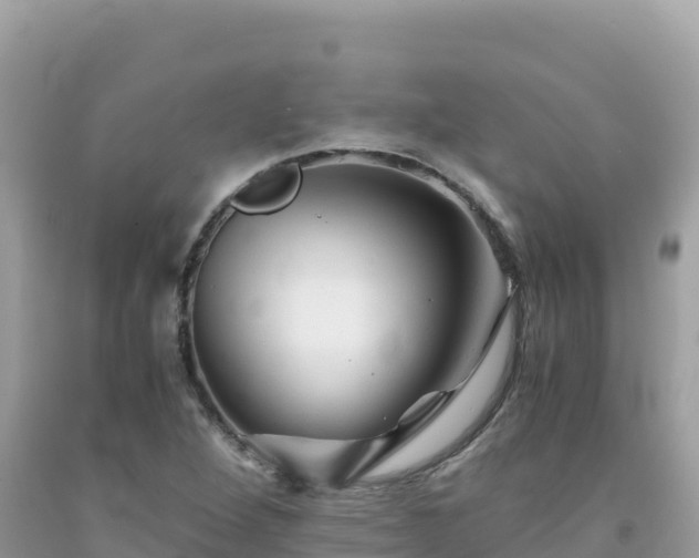 X0000092021264200709131548