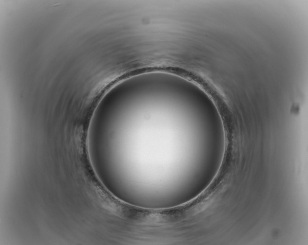X0000092021265200709131548