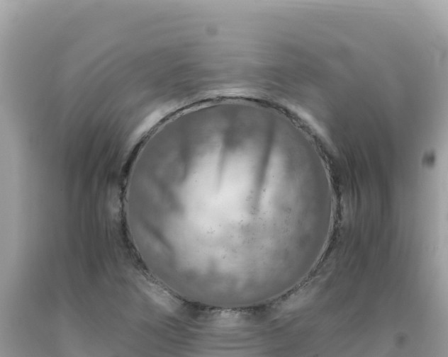 X0000092021266200709131548