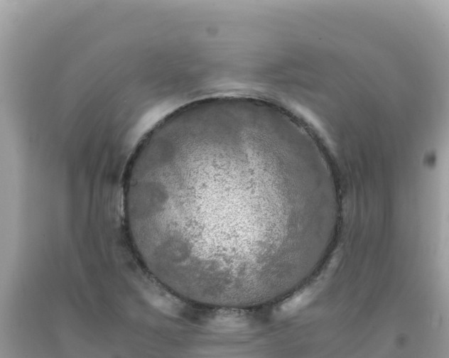 X0000092021267200709131548