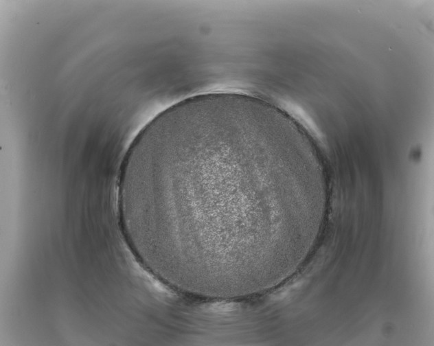 X0000092021268200709131548