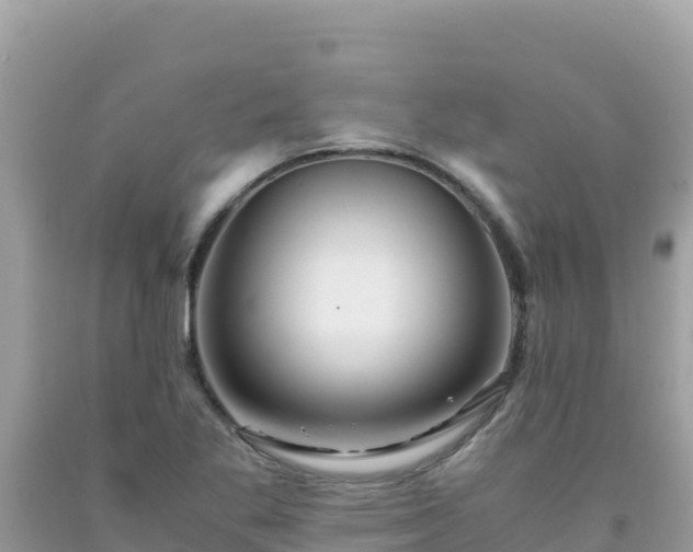 X0000092021269200709131548