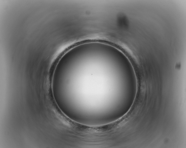 X0000092021270200709131548