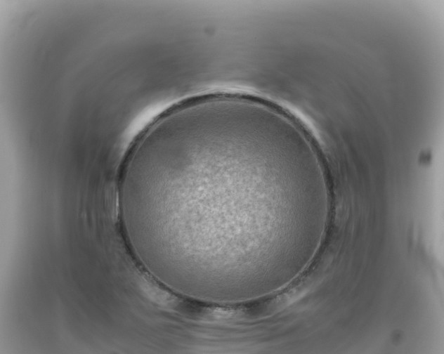 X0000092021271200709131548