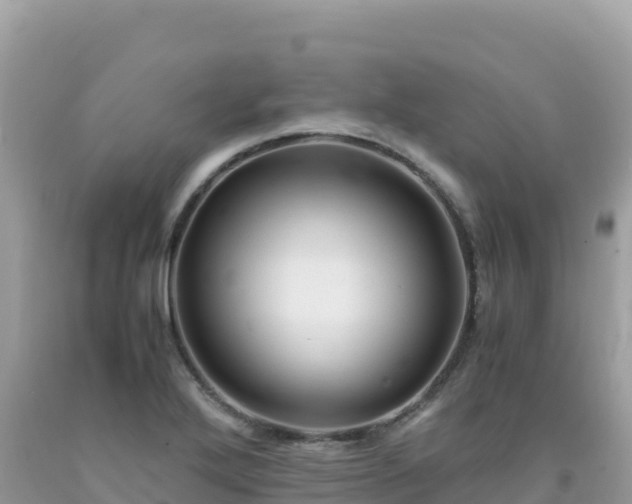 X0000092021272200709131548