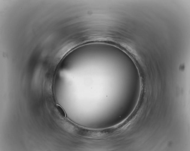 X0000092021273200709131548