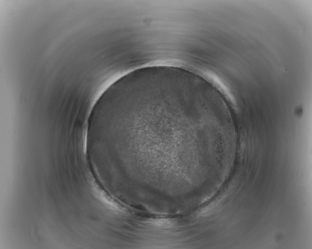 X0000092021276200709131548