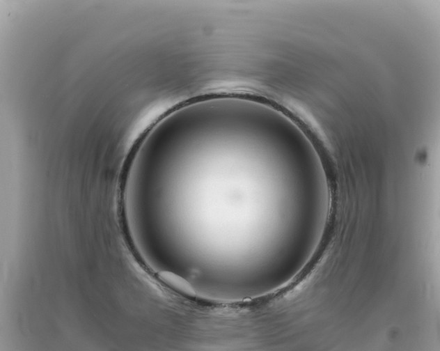 X0000092021277200709131548