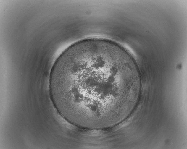 X0000092021279200709131548