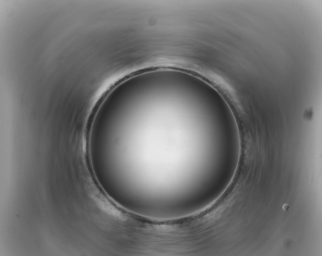 X0000092021280200709131548