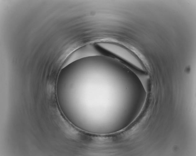 X0000092021281200709131548