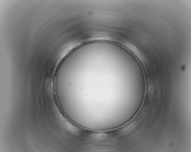 X0000092021282200709131548