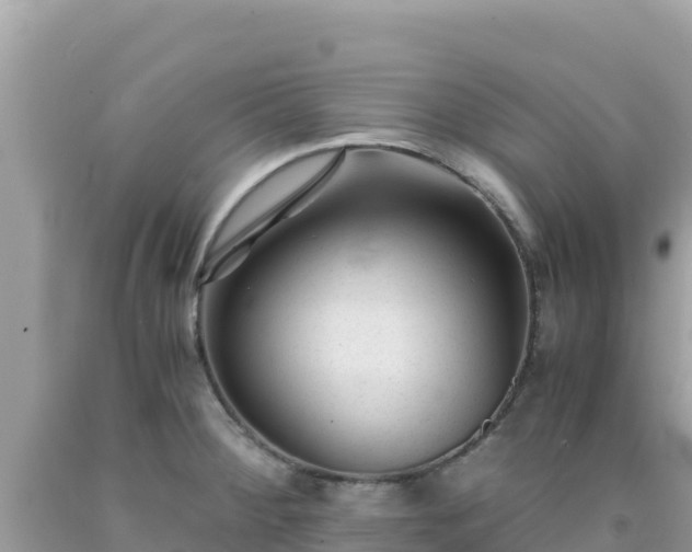 X0000092021284200709131548