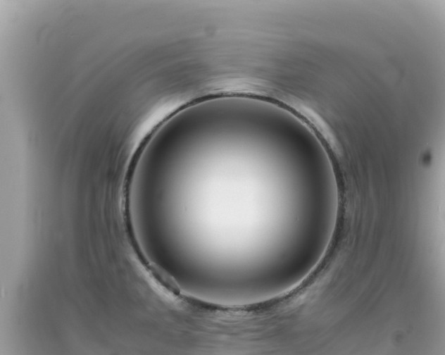 X0000092021285200709131548