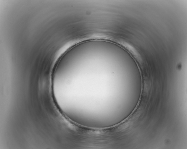 X0000092021286200709131548