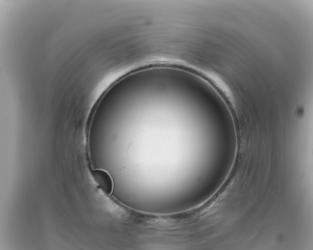X0000092021287200709131548