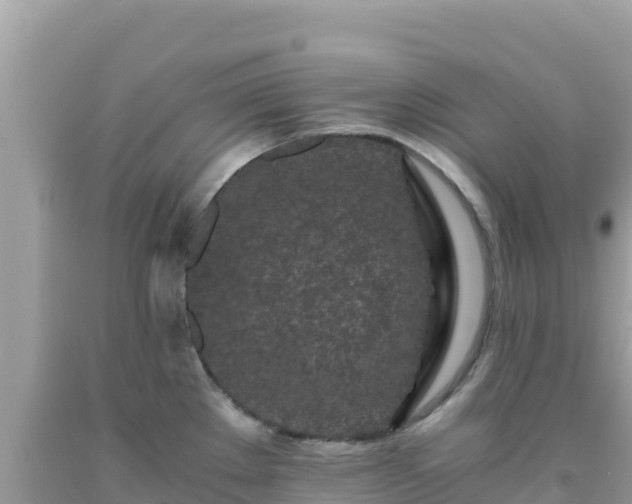 X0000092021289200709131548