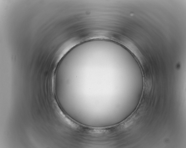 X0000092021290200709131548
