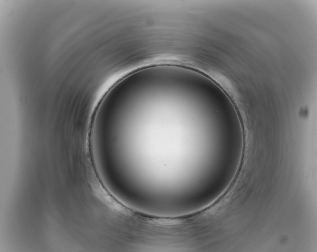 X0000092021296200709131548