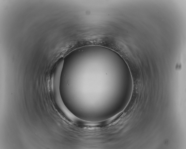 X0000092021298200709131547