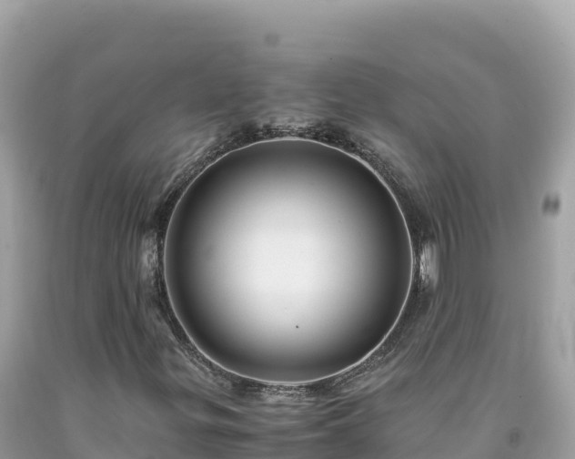 X0000092021299200709131547