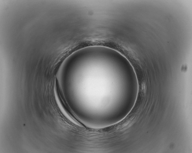 X0000092021300200709131547