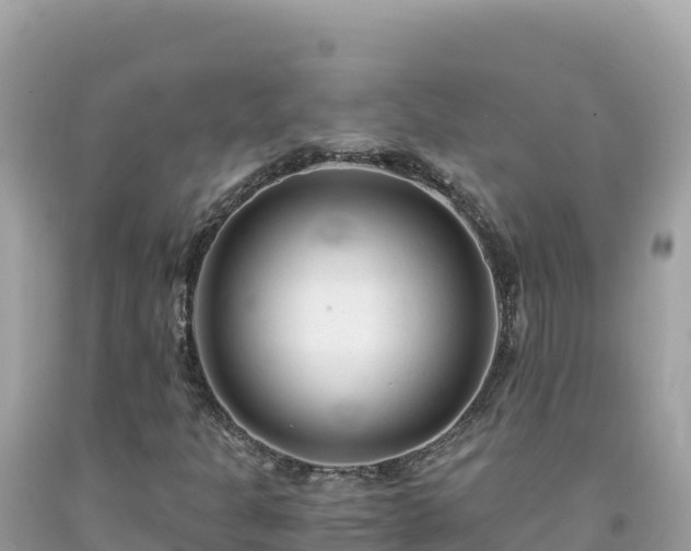 X0000092021301200709131547
