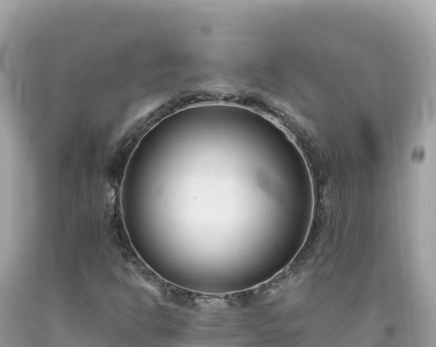 X0000092021302200709131547