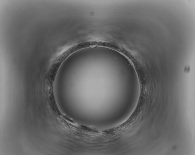 X0000092021303200709131547