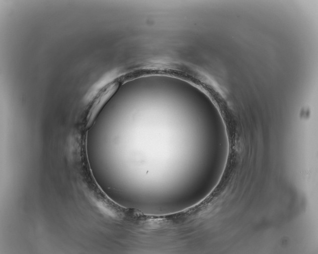 X0000092021304200709131547