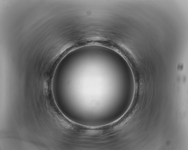 X0000092021305200709131547