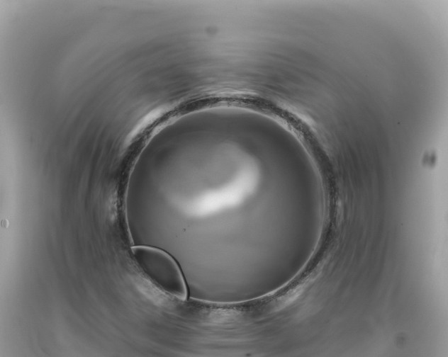 X0000092021306200709131547