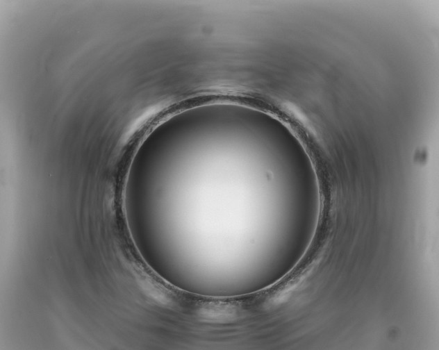 X0000092021307200709131547