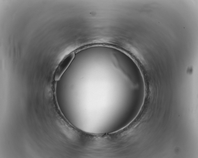 X0000092021308200709131547