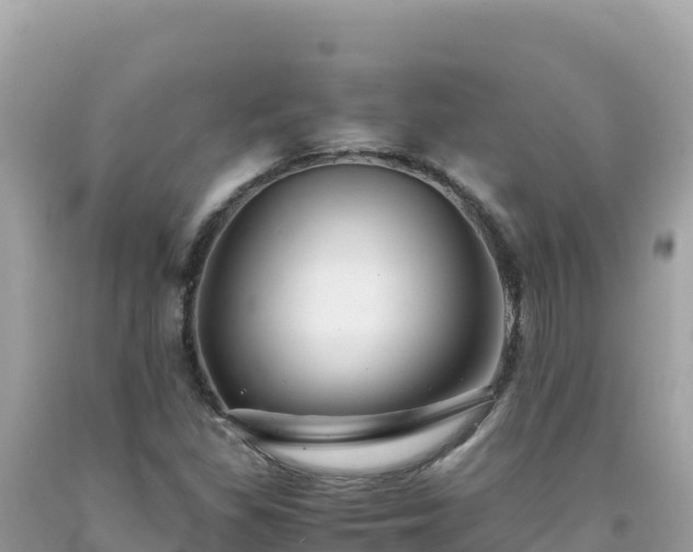 X0000092021309200709131547