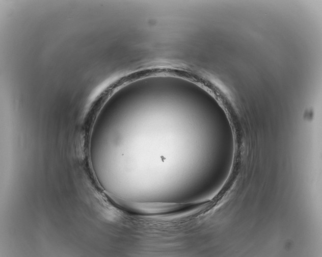 X0000092021310200709131547