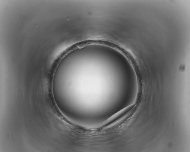 X0000092021311200709131547
