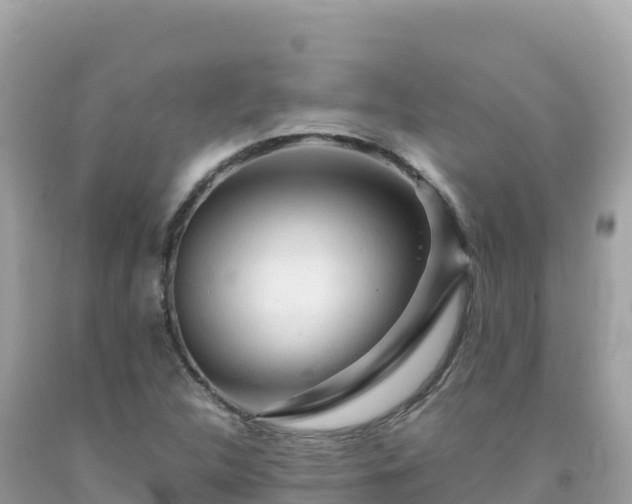 X0000092021312200709131547